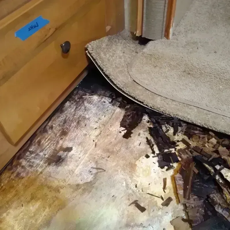 Best Wood Floor Water Damage Service in Sardis, MS